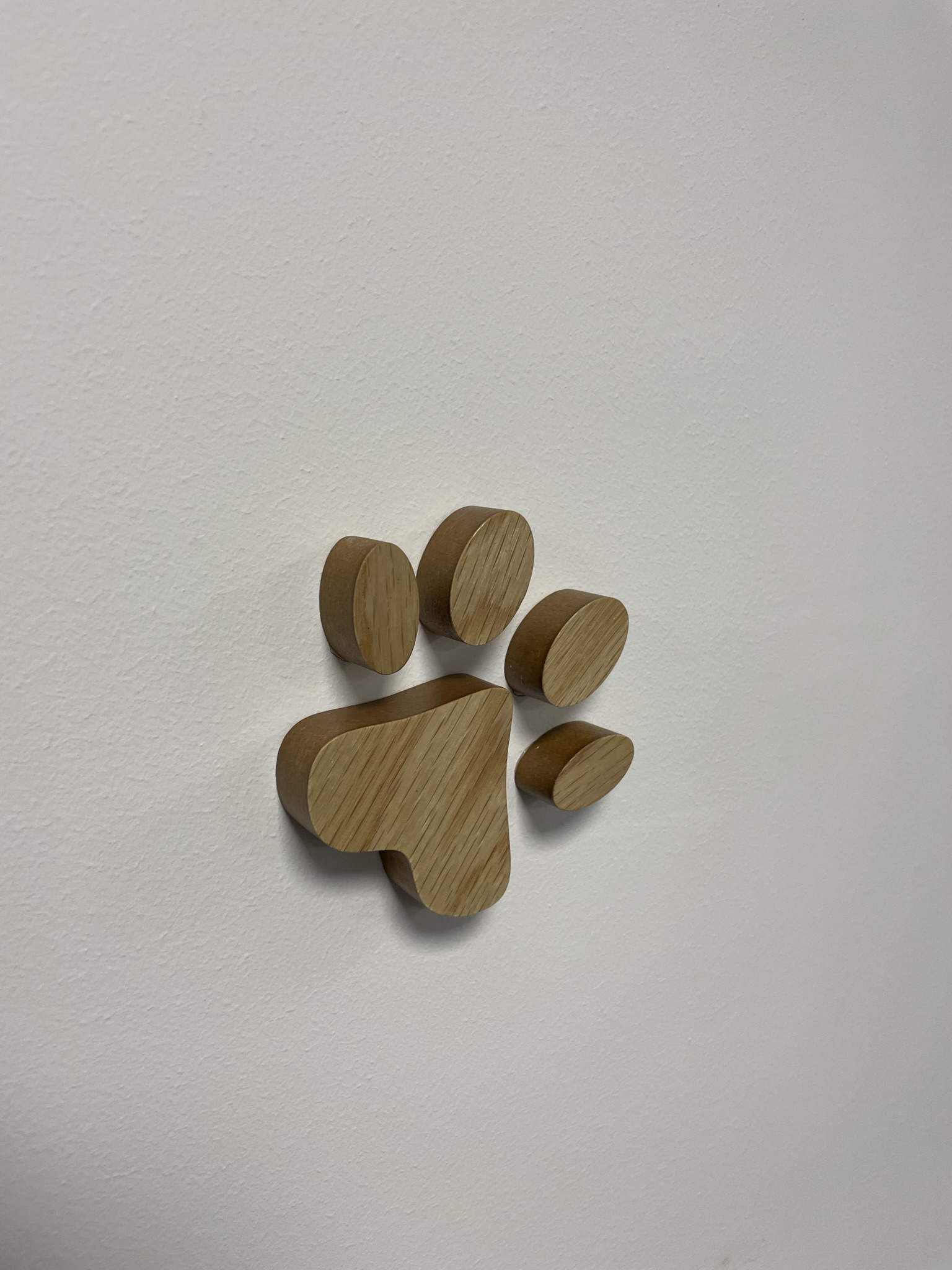 Wooden paw print